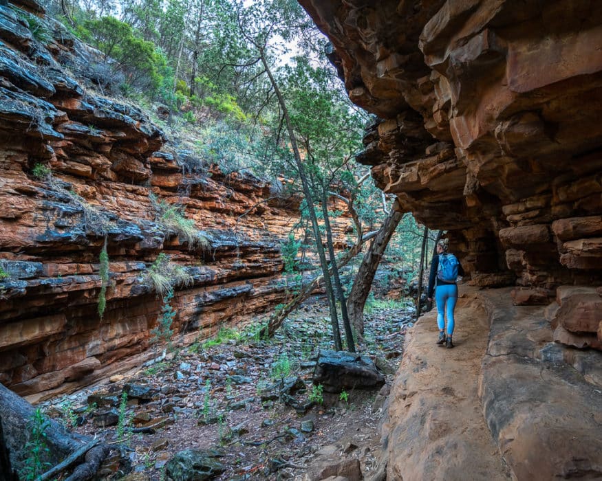 Alligator Gorge - Famous landmarks of South Australia