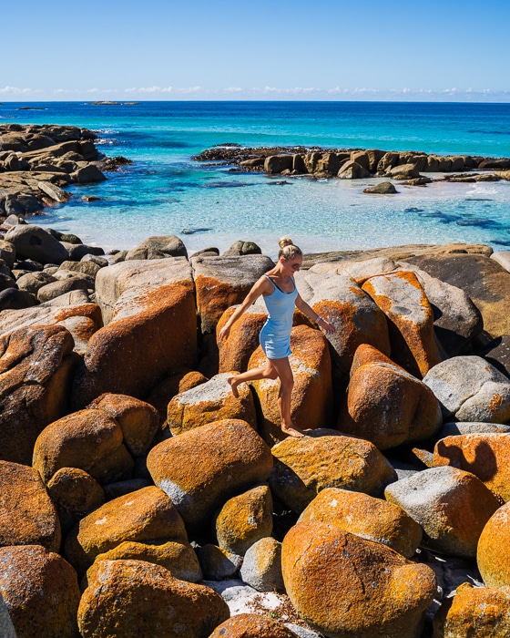 launceston to bay of fires