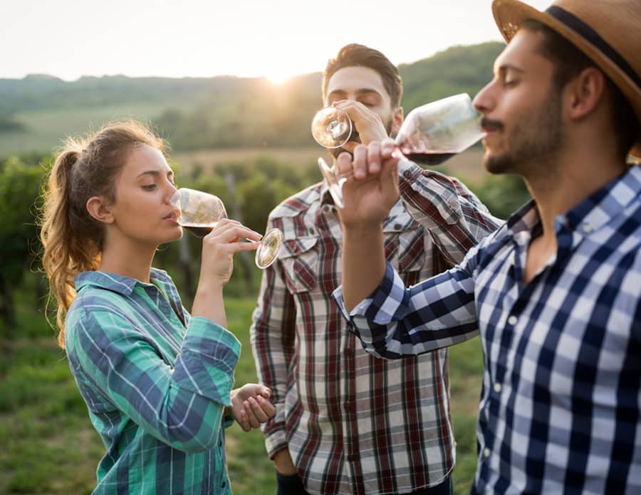 Top 10 Margaret River Wine Tours