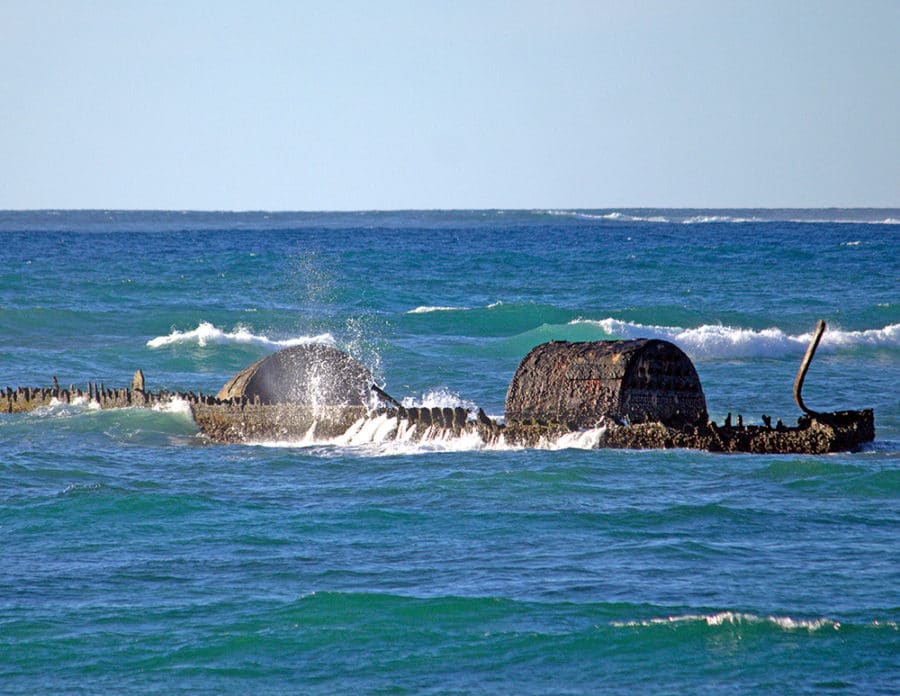 Best Things to do in Exmouth - SS Mildura Shipwreck