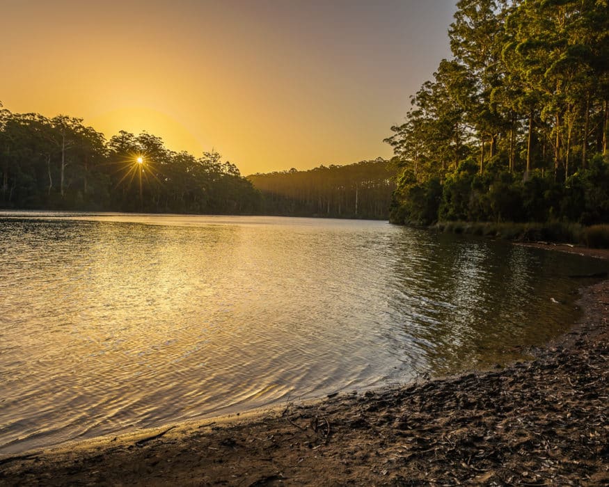 big brook dam in Pemberton WA