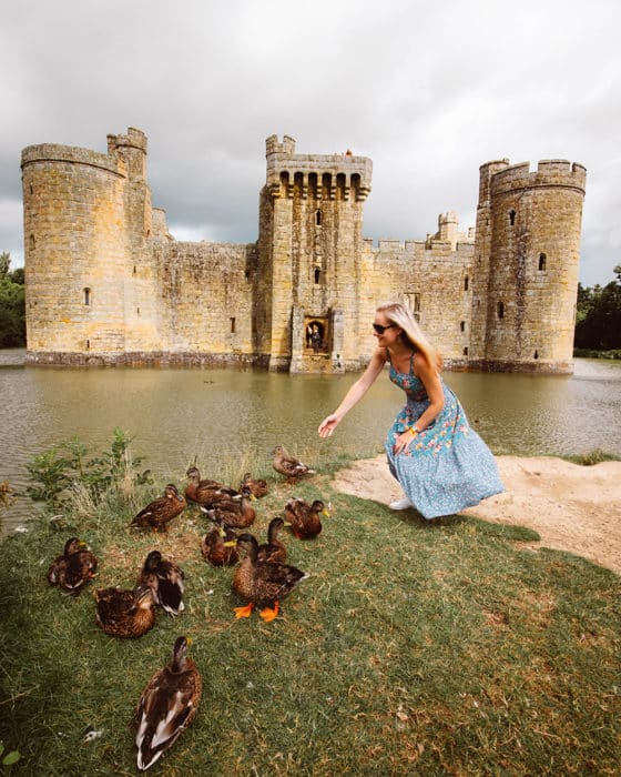 Chasing cute ducks around Bodiam Castle