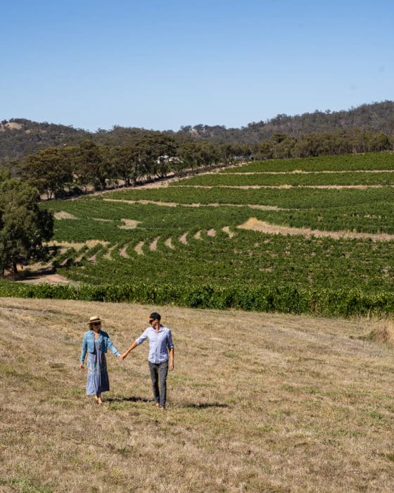 weekend trips from adelaide - clare valley