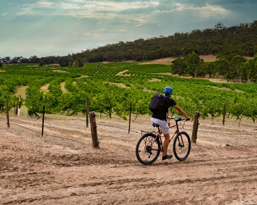 perth to adelaide road trip - clare valley