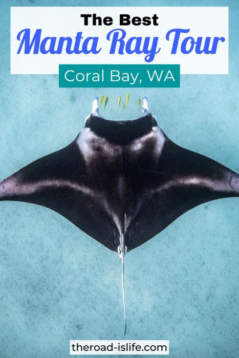 Coral Bay Manta Ray Tour