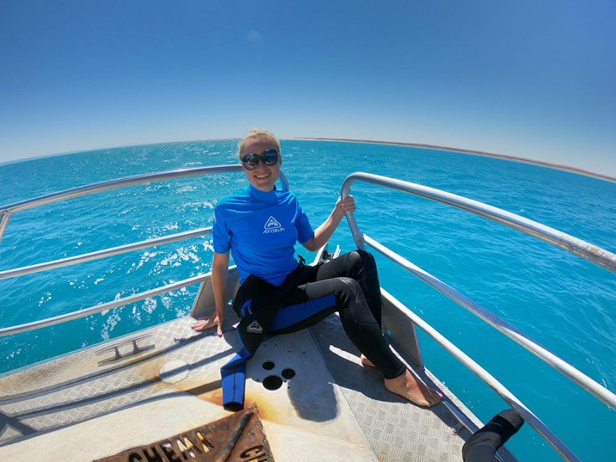 Best Coral Bay Manta Ray Tour