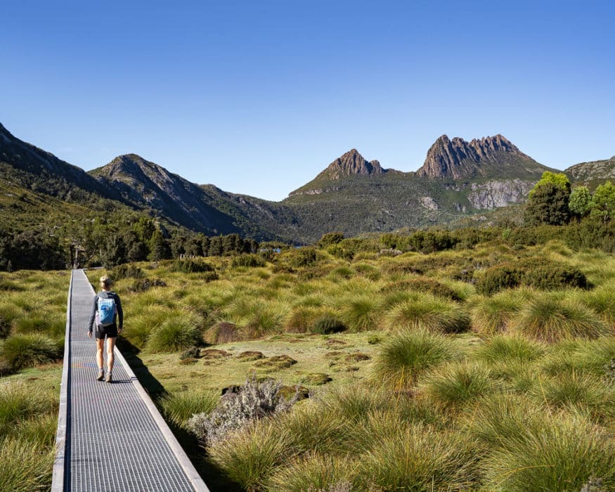 hobart to cradle mountain hiking