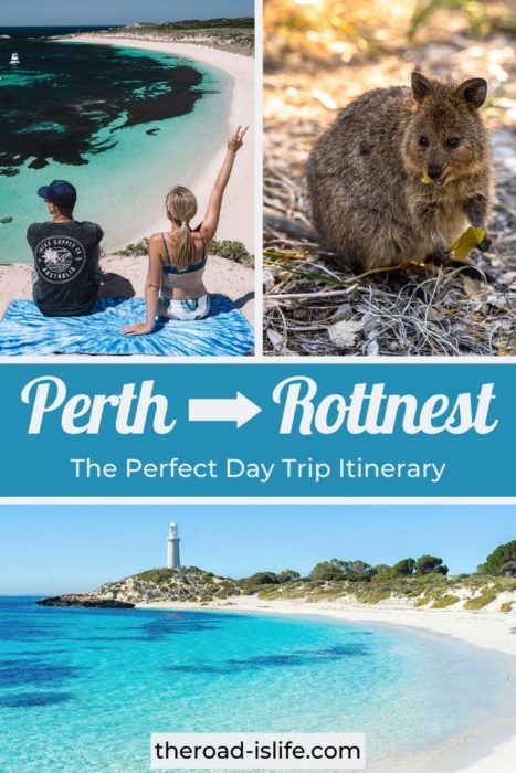 Day Trip to Rottnest Island from Perth, WA