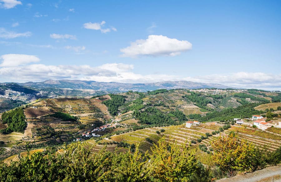 Stunning Douro Views on a day trip from Porto