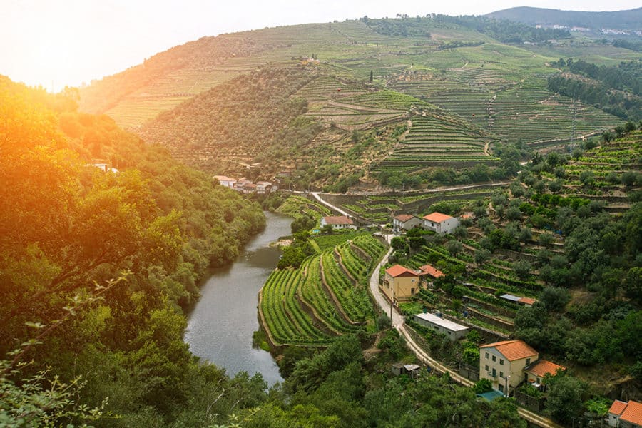 Visiting the Douro Valley on a road trip from Porto to Lisbon on a day trip from Porto