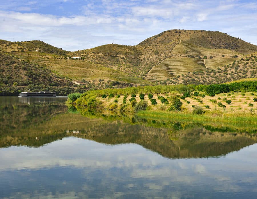 The Perfect Day Trip from Porto to Douro Valley