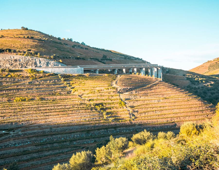 Driving through the Douro Valley