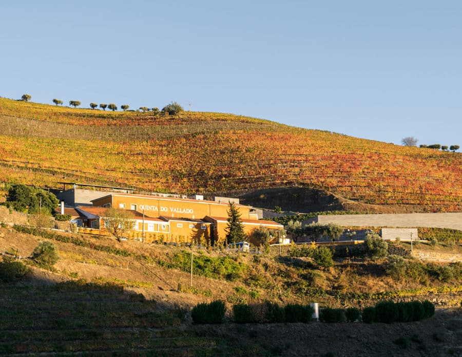 Douro Valley Wineries
