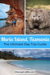 Maria Island Day Trip Guide - How to spend the perfect day on Maria Island, Tasmania