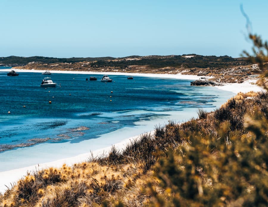 Exploring the lovely beaches of Rottnest Island, WA