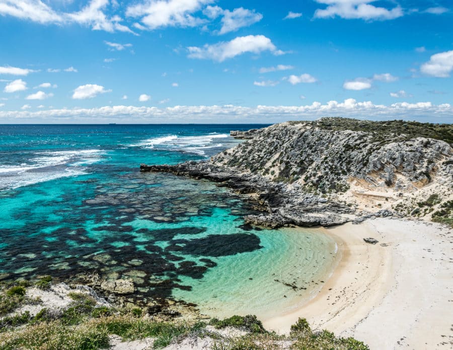 Day Trip to Rottnest Island from Perth, WA