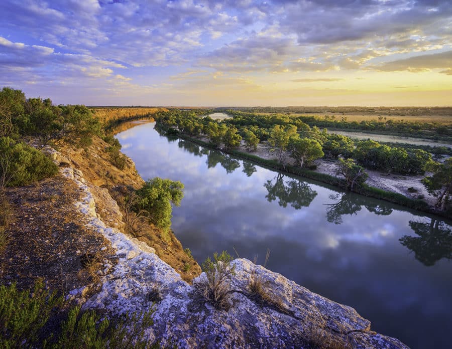 Book a Murray River Cruise on your day trip from Adelaide
