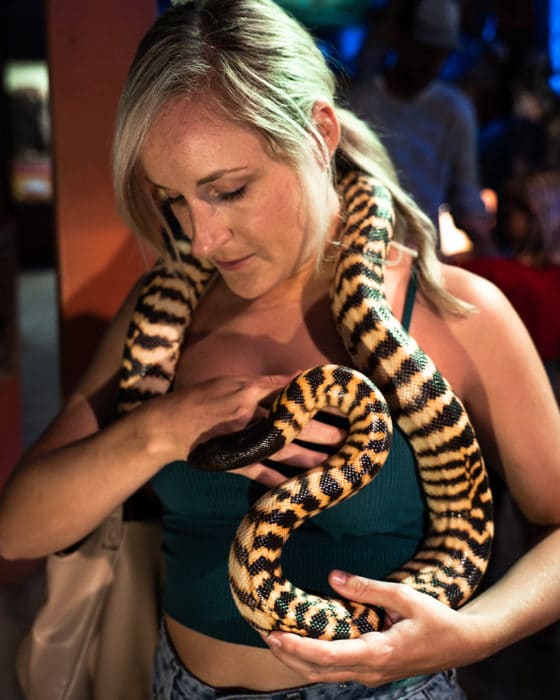 Holding a snake in Denmark Western Australia