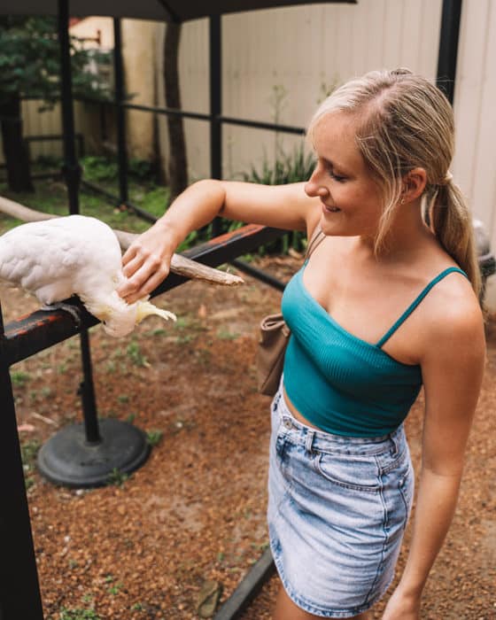 Denmark Dinosaur World