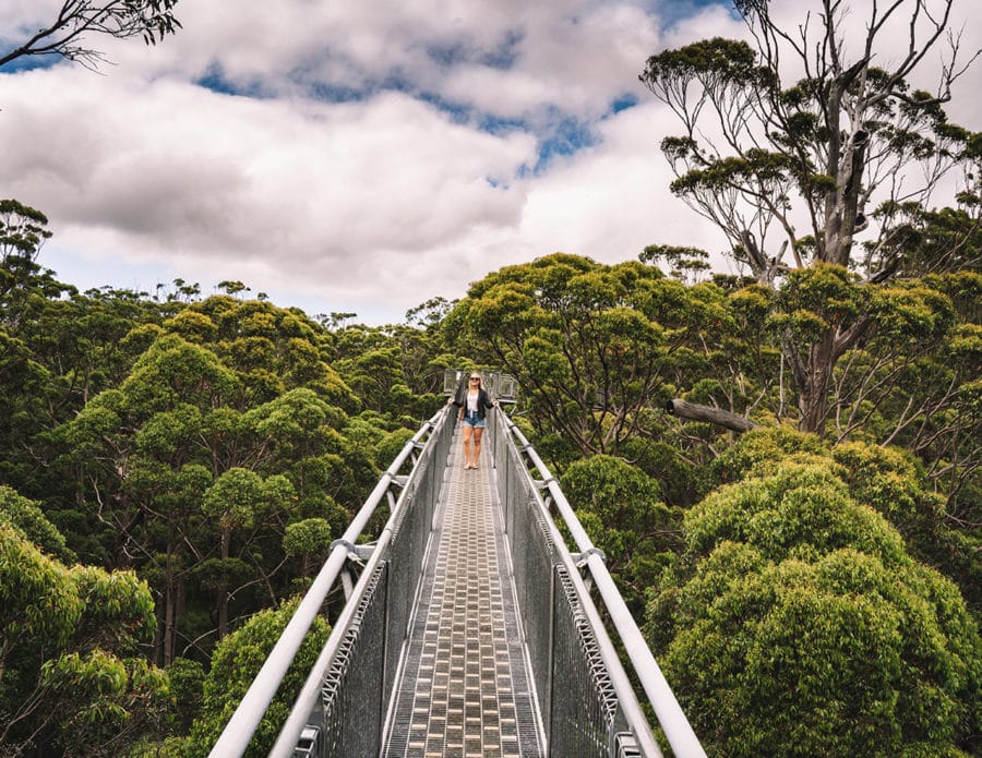Valley of the Giants, Denmark Western Australia