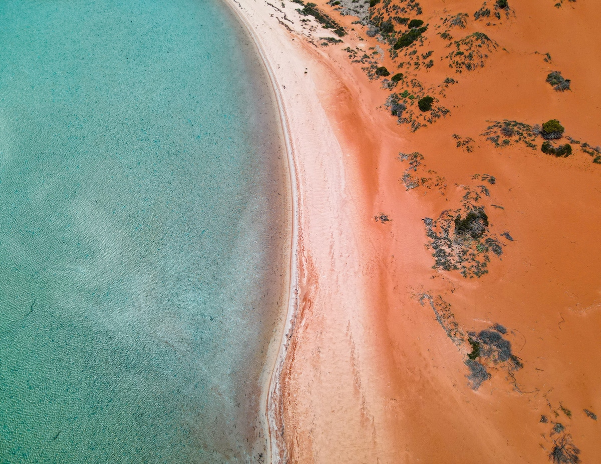 Top 10 Things To Do In Shark Bay, Western Australia