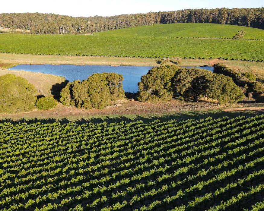 Channybearup Wineries near Pemberton Western Australia