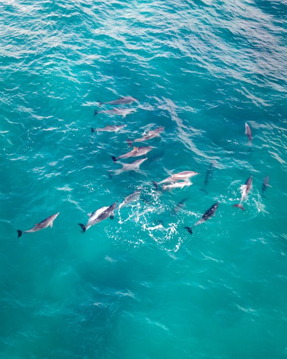 perth to busselton road trip