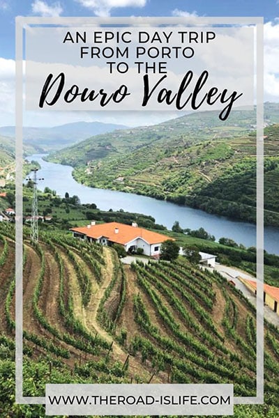Douro Valley Vineyard Tours