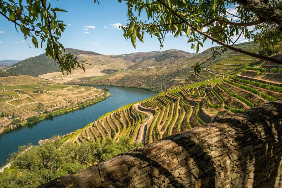 Enjoy spectacular Douro Valley views on your day trip from Porto