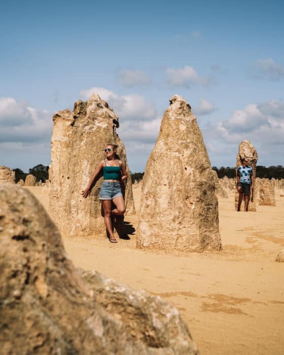 the pinnacles desert