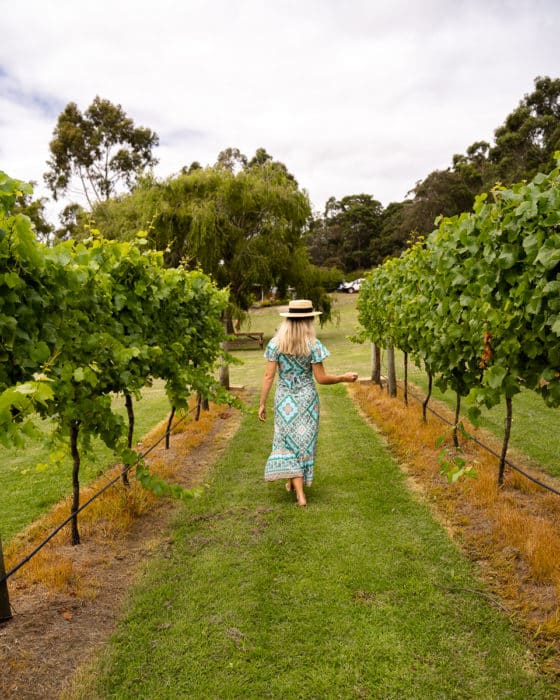 Best Margaret River Tours