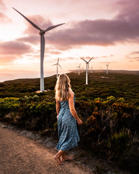 Albany wind farm sunset
