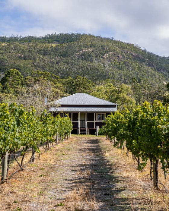Abbey Creek Vineyard, Porongurup National Park