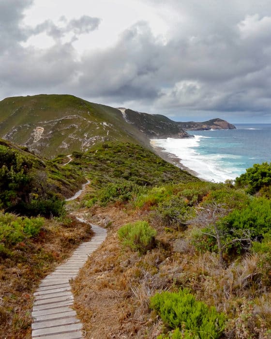 bald head hike albany