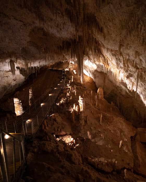 day trips from perth - margaret river