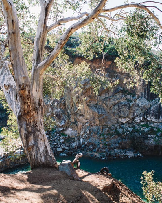 Ellis Brook - Perth's Best Hiking Trails