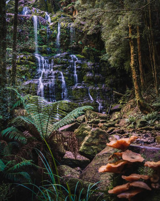 Nelson Falls, Tasmania