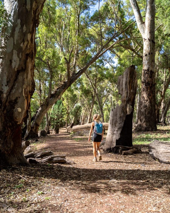 flinders ranges hiking - perth to adelaide drive