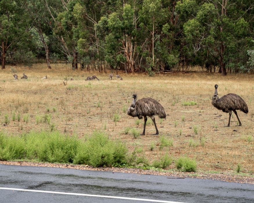 grampians national park