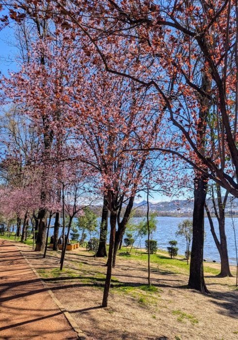 Grand Park of Tirana during spring
