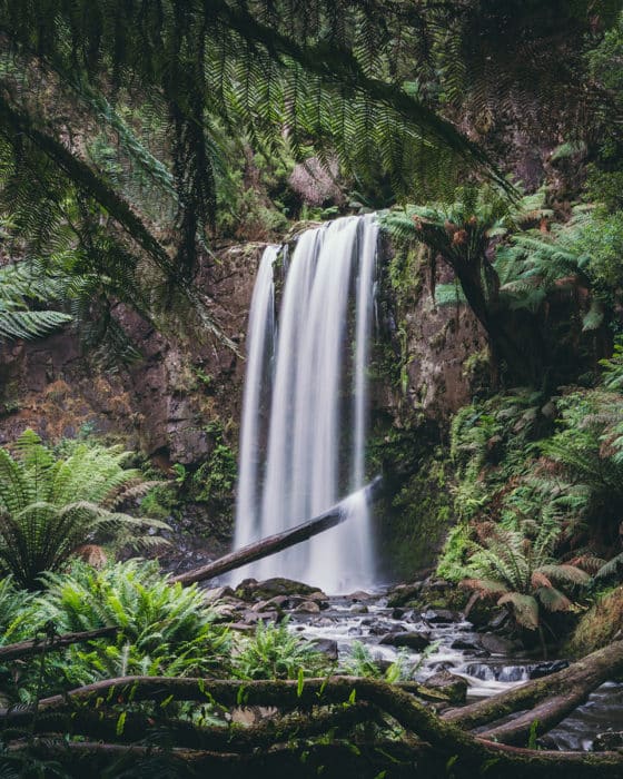 Otways National Park - Great Ocean Road Itinerary