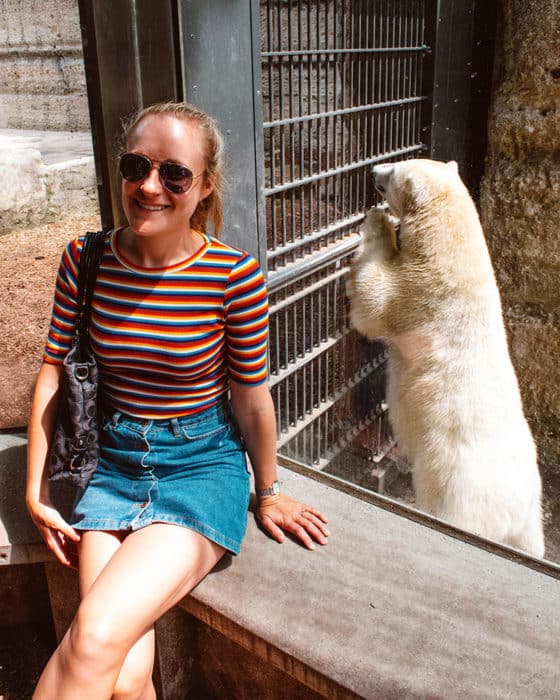 A polar bear at the Hellabrunn Zoo in Munich
