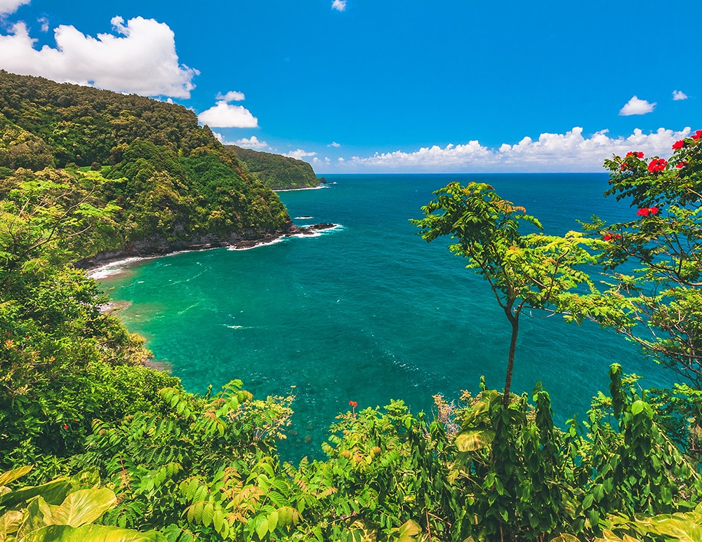 31 Best Road to Hana Stops – Complete Guide and Itinerary (2025)