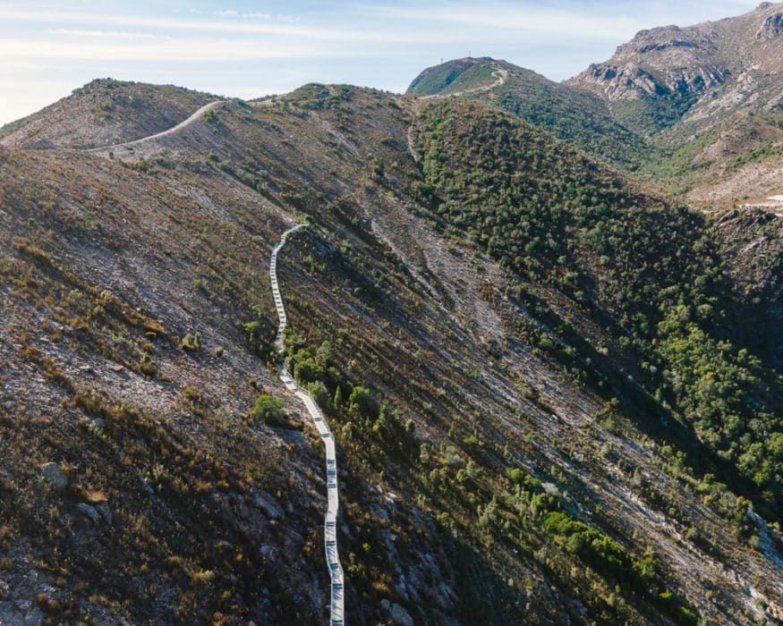 horsetail falls boardwalk tasmania