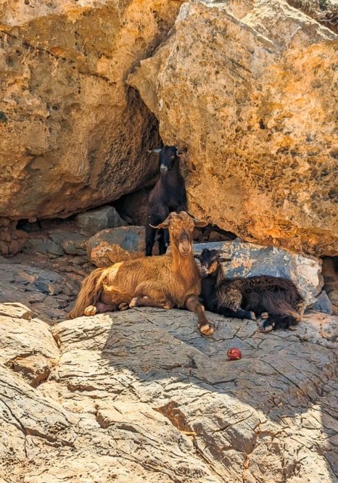 Getting to Balos Beach from Chania