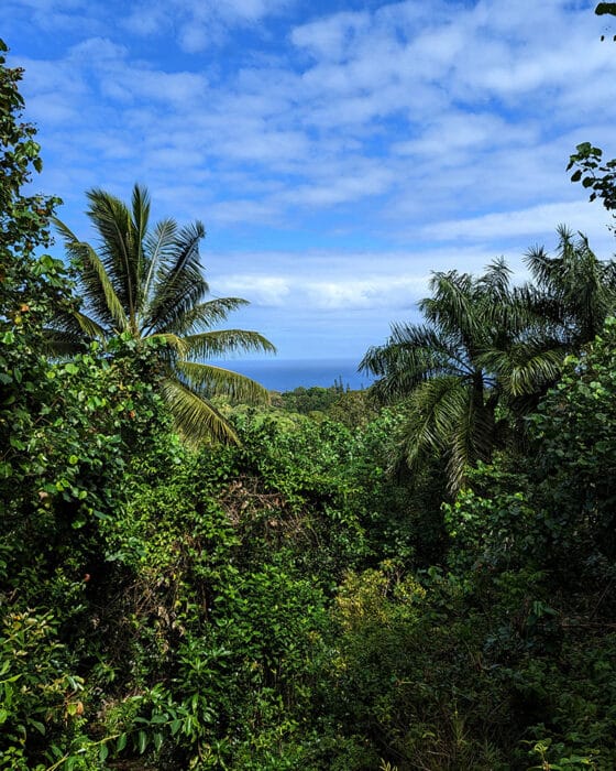 Huelo Lookout, stop on the Road to Hana