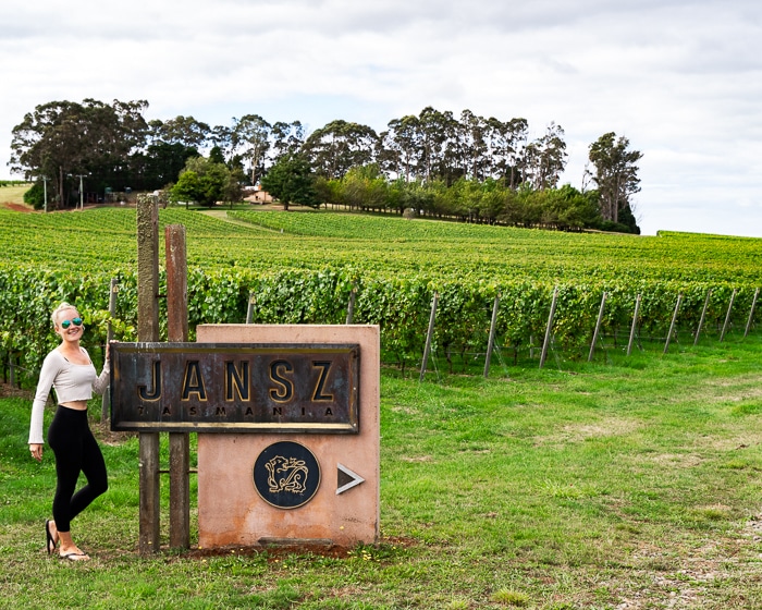 jansz vineyard tasmania
