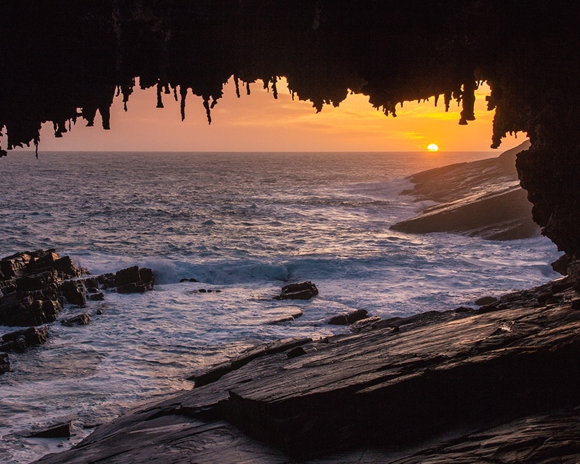 South Australian landmarks - Admirals Arch on Kangaroo Island