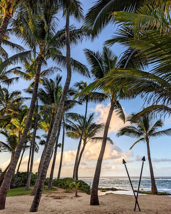 Kuau Cove, Maui itinerary