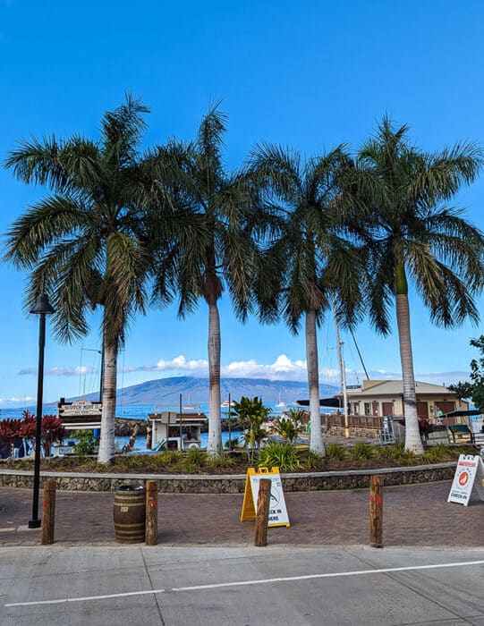Lahaina Harbor, Maui